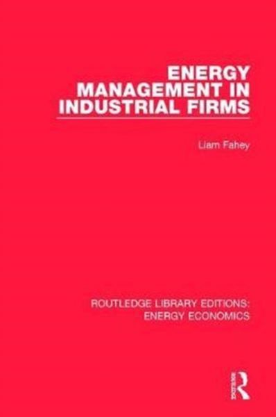 Produktbild: Energy Management in Industrial Firms
