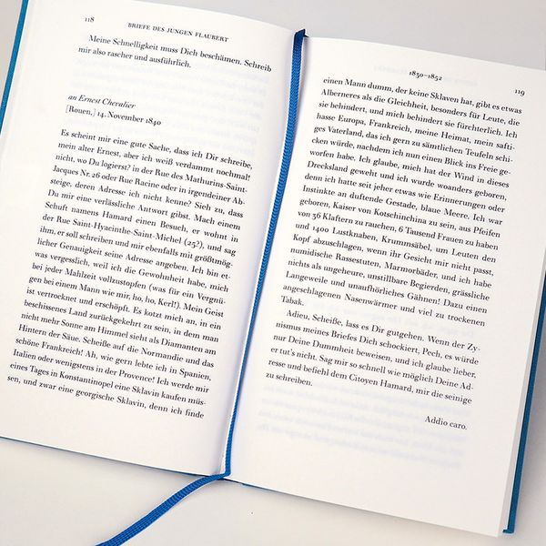 Produktbild: Memoiren eines Irren