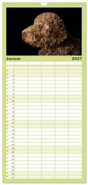 Produktbild: Familienplaner 2027 - Pudel mit 5 Spalten (Wandkalender, 21 x 45 cm) CALVENDO