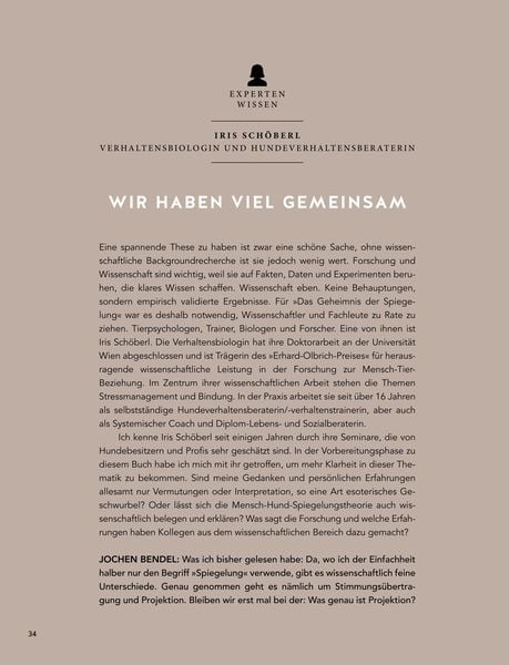 Produktbild: Das Geheimnis der Spiegelung