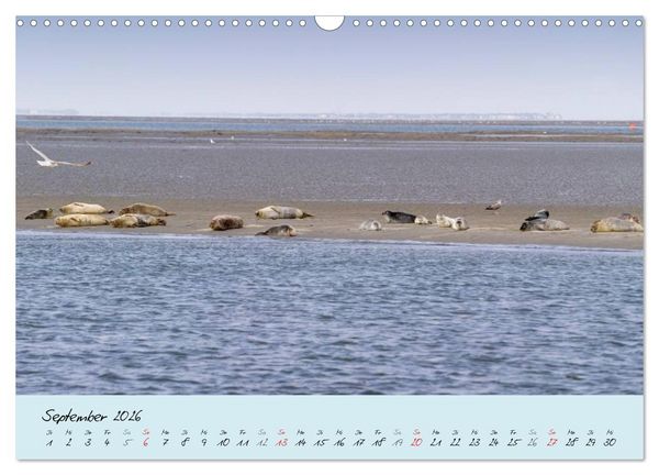 Produktbild: Nordsee &ndash; D&uuml;nen, Sand, Wasser und Wolken (Wandkalender 2026 DIN A3 quer), CALVENDO Monatskalender