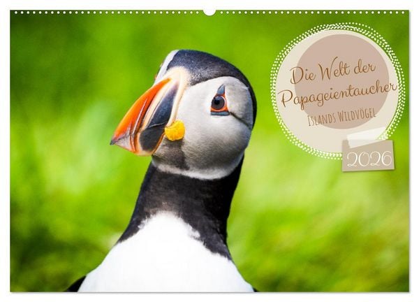 Die Welt der Papageientaucher - Islands Wildvögel (Wandkalender 2026 DIN A2 quer), CALVENDO Monatskalender