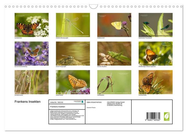 Produktbild: Frankens Insekten (Wandkalender 2026 DIN A3 quer), CALVENDO Monatskalender