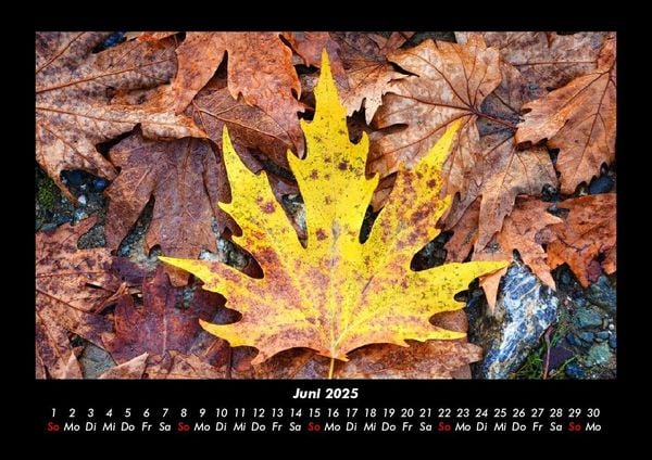 Produktbild: Natur 2025 Fotokalender DIN A3
