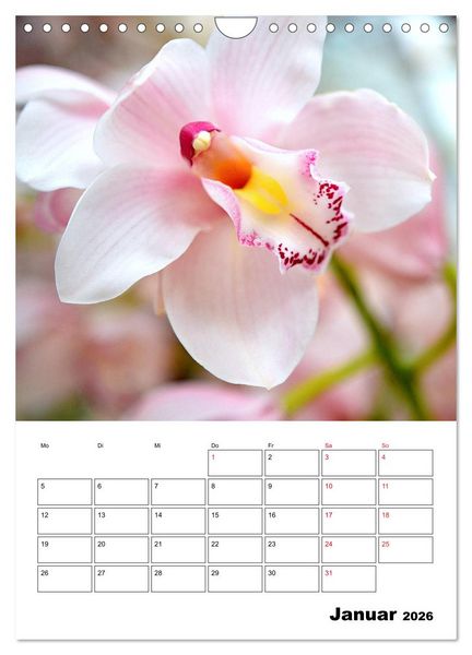 Produktbild: Orchideen - Tropische Sch&ouml;nheiten (Wandkalender 2026 DIN A4 hoch), CALVENDO Monatskalender