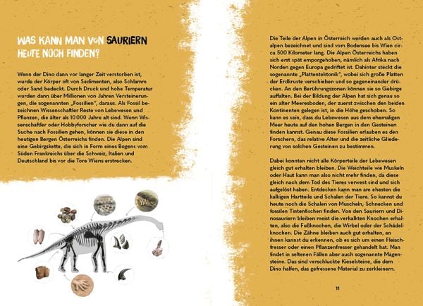 Produktbild: Wandern in die Welt der Dinos