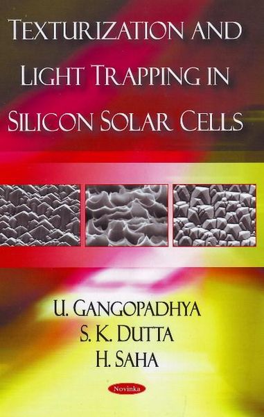 Produktbild: Gangopadhyay, U: Texturization & Light Trapping in Silicon S