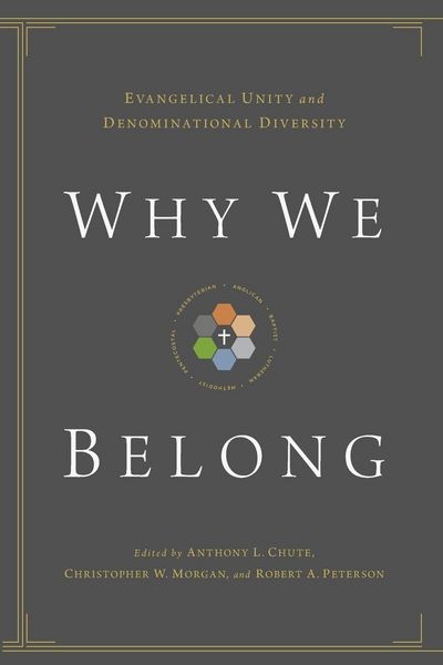 Produktbild: Why We Belong