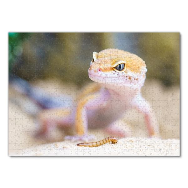 Produktbild: Lais Puzzle Gecko 500 Teile