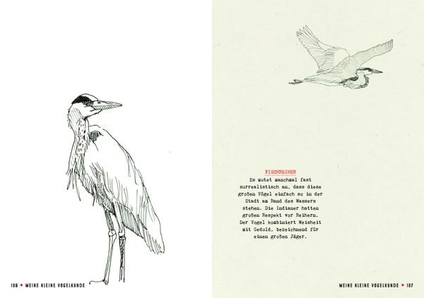 Produktbild: Meine kleine Vogelkunde