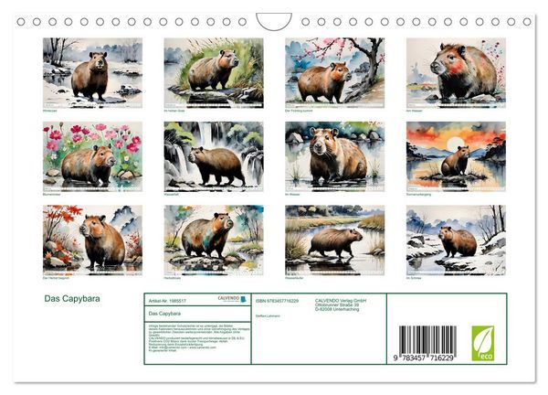 Produktbild: Das Capybara (Wandkalender 2026 DIN A4 quer), CALVENDO Monatskalender
