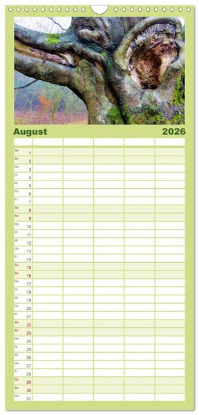 Produktbild: Familienplaner 2026 - Waldd&auml;monen mit 5 Spalten (Wandkalender, 21 x 45 cm) CALVENDO