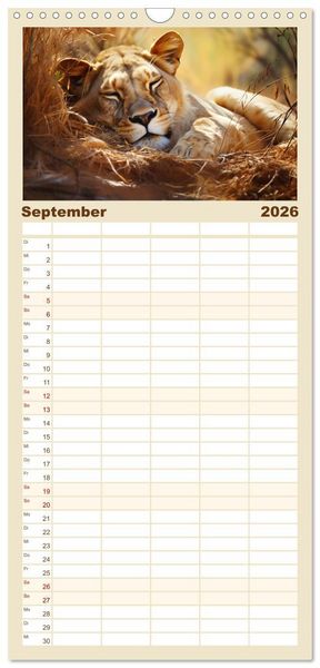 Produktbild: Familienplaner 2026 - Wenn sie schlafen... mit 5 Spalten (Wandkalender, 21 x 45 cm) CALVENDO