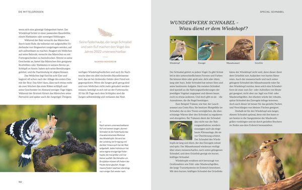 Produktbild: Die magische Welt unserer V&ouml;gel