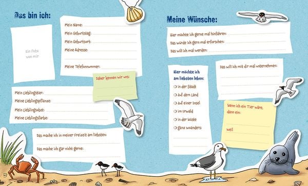 Produktbild: Die Gr&uuml;nen Piraten &ndash; Meine Freunde