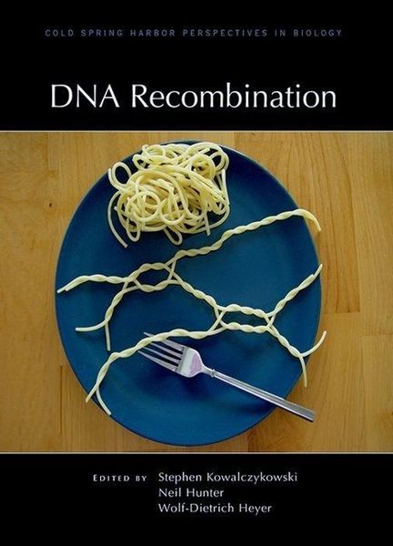 Produktbild: DNA Recombination
