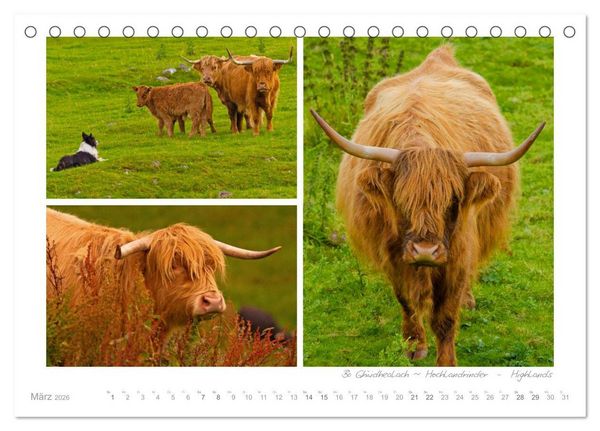 Produktbild: Sehnsucht Schottland (Tischkalender 2026 DIN A5 quer), CALVENDO Monatskalender