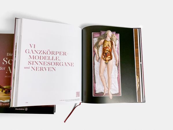 Produktbild: The Beauty of Anatomy