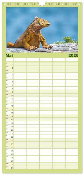 Produktbild: Familienplaner 2026 - Die faszinierende Tierwelt der Galapagos-Inseln mit 5 Spalten (Wandkalender, 21 x 45 cm) CALVENDO