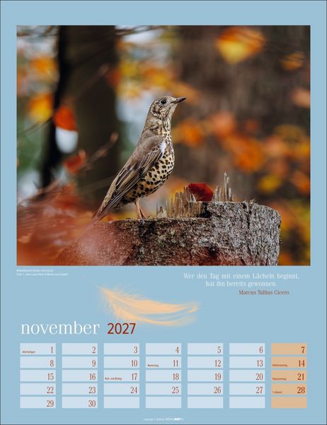 Produktbild: Heimische V&ouml;gel Kalender 2027