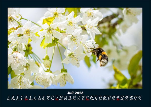 Produktbild: Blumenzauber 2026 Fotokalender DIN A4