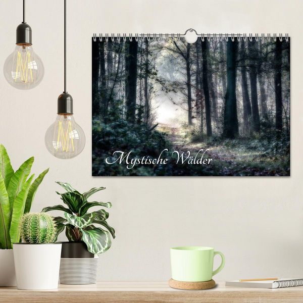 Produktbild: Mystische W&auml;lder (Wandkalender 2026 DIN A4 quer), CALVENDO Monatskalender