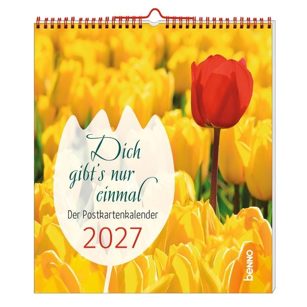 Produktbild: Dich gibt's nur einmal 2027