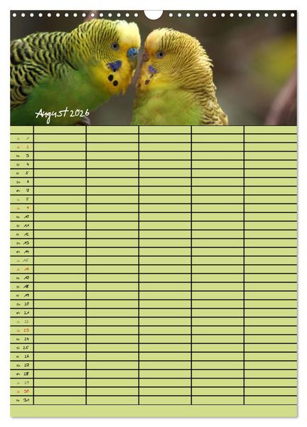 Produktbild: Der Wellensittich-Familienplaner (Wandkalender 2026 DIN A3 hoch), CALVENDO Monatskalender
