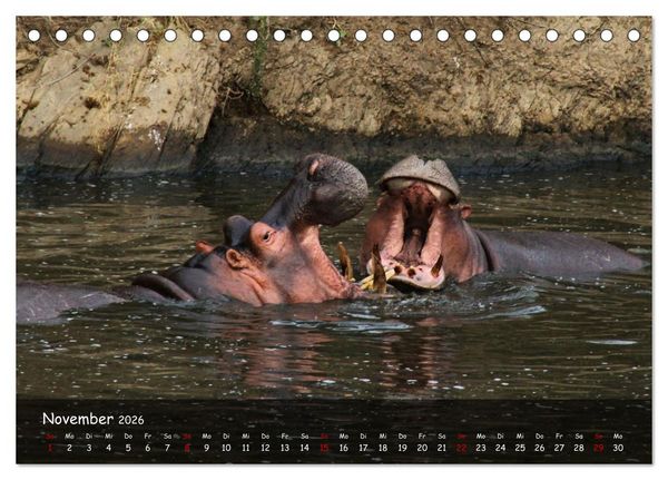 Produktbild: Wildes Ostafrika - Tansania und Kenia hautnah (Tischkalender 2026 DIN A5 quer), CALVENDO Monatskalender