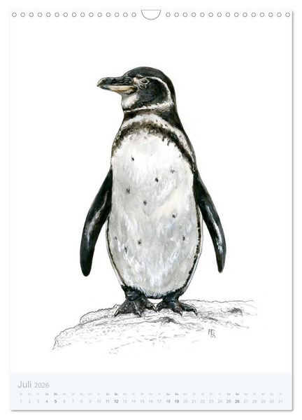 Produktbild: Pinguine - 13 Illustrationen (Wandkalender 2026 DIN A3 hoch), CALVENDO Monatskalender