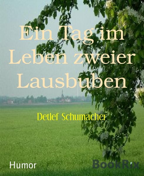 Produktbild: Ein Tag im Leben zweier Lausbuben