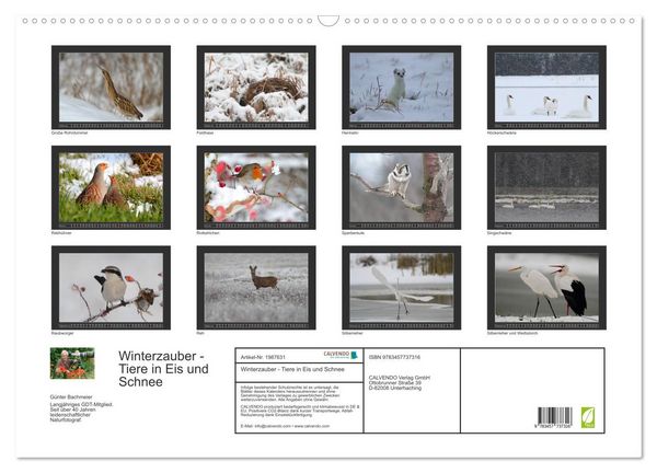 Produktbild: Winterzauber - Tiere in Eis und Schnee (Wandkalender 2026 DIN A2 quer), CALVENDO Monatskalender