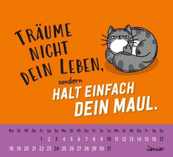 Produktbild: Mini-Kalender 2027: Neues Jahr neues &hellip; ach halt die Klappe!