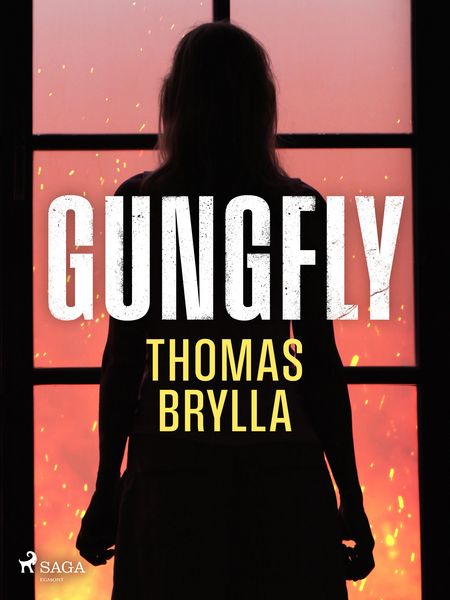 Produktbild: Gungfly