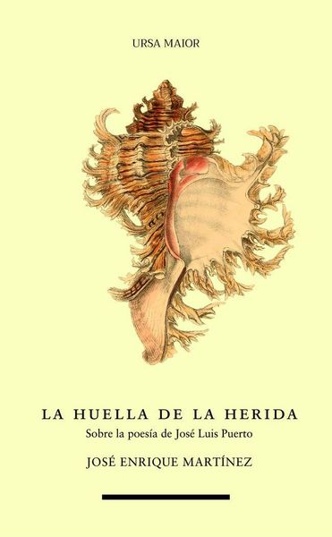 Produktbild: La huella de la herida