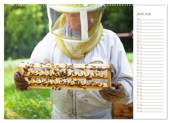 Produktbild: S&uuml;&szlig;es Gold: Imker, Bienen & Honig (hochwertiger Premium Wandkalender 2026 DIN A2 quer), Kunstdruck in Hochglanz