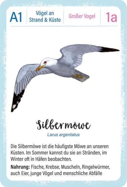 Produktbild: Expedition Natur Quartett V&ouml;gel