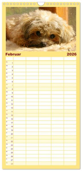 Produktbild: Familienplaner 2026 - Bolonka Zwetna mit 5 Spalten (Wandkalender, 21 x 45 cm) CALVENDO