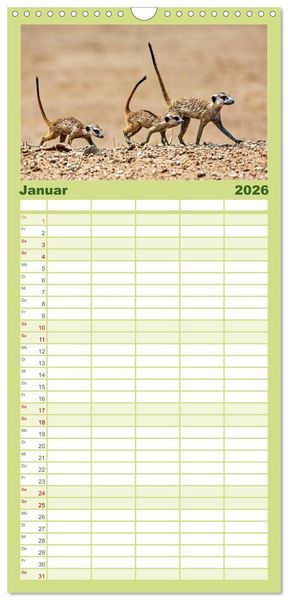 Produktbild: Familienplaner 2026 - Afrikas Tierwelt - Erdm&auml;nnchen mit 5 Spalten (Wandkalender, 21 x 45 cm) CALVENDO