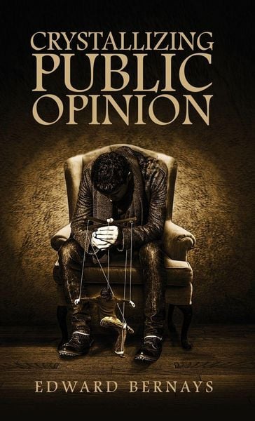 Produktbild: Crystallizing Public Opinion