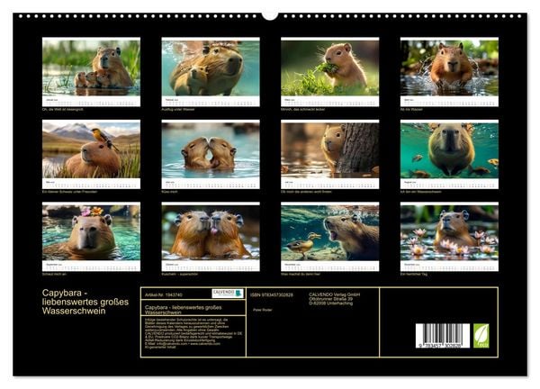 Produktbild: Capybara - liebenswertes gro&szlig;es Wasserschwein (hochwertiger Premium Wandkalender 2026 DIN A2 quer), Kunstdruck in Hochglanz
