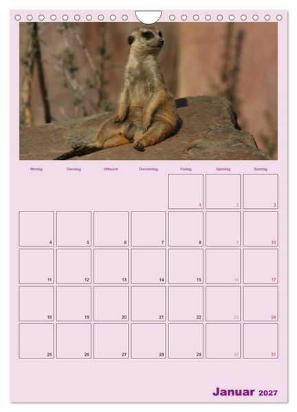 Produktbild: Erdm&auml;nnchen / Terminplaner (Wandkalender 2027 DIN A4 hoch), CALVENDO Monatskalender
