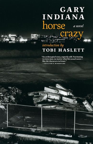 Produktbild: Horse Crazy