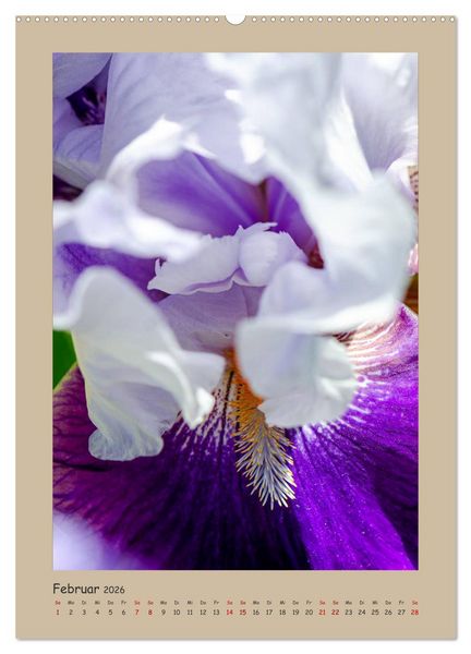 Produktbild: Zauberhafte Iris (hochwertiger Premium Wandkalender 2026 DIN A2 hoch), Kunstdruck in Hochglanz
