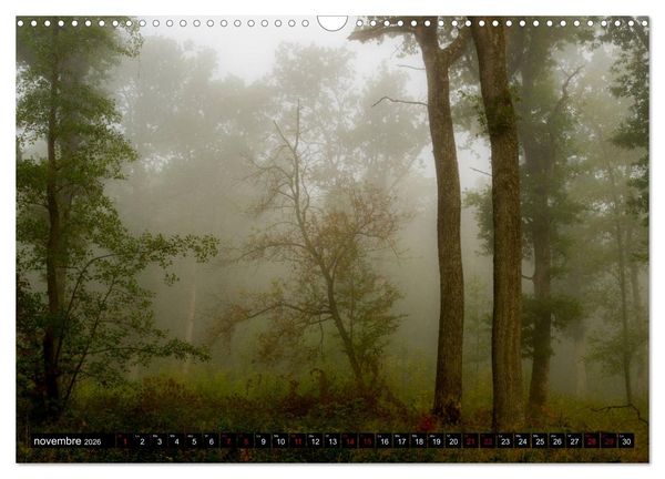 Produktbild: Lumi&egrave;res des Vosges (Calendrier mural 2026 DIN A3 vertical), CALVENDO calendrier mensuel