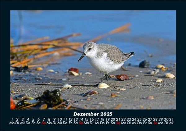 Produktbild: Nordsee 2025 Fotokalender DIN A5