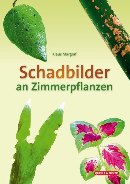 Schadbilder an Zimmerpflanzen, Sonstige von Klaus Margraf, Quelle & Meyer, 978-3-494-01979-6