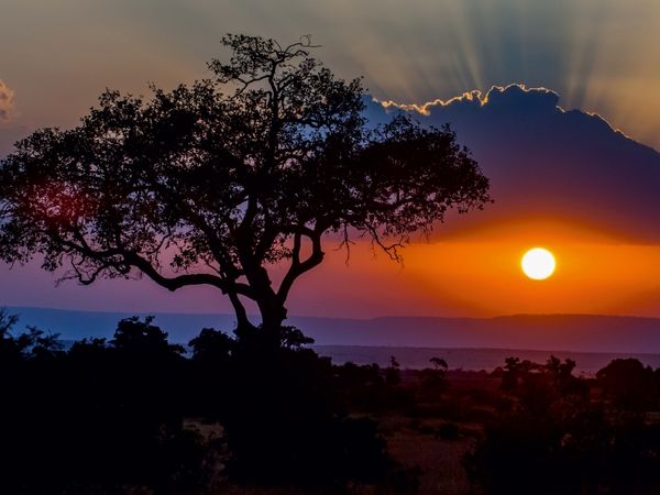 Produktbild: Sonnenuntergang in der Masai Mara in Kenia (Puzzle)