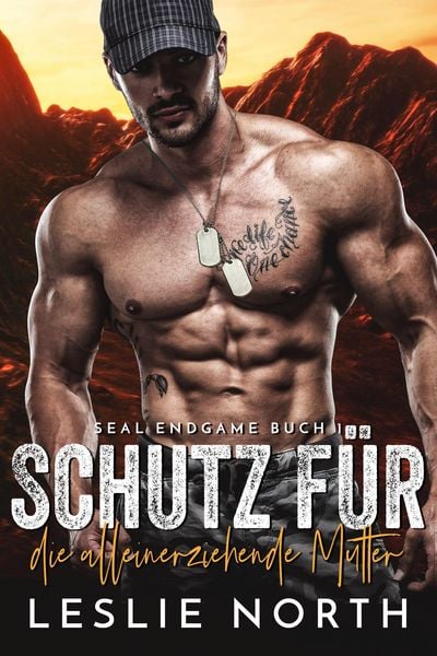 Schutz für die alleinerziehende Mutter (SEAL Endgame, #1)