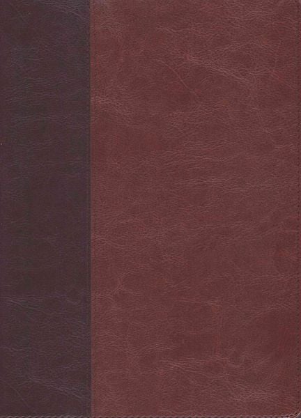 Produktbild: Every Man's Bible-NLT-Large Print